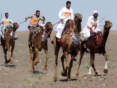 دلگان میزبان مسابقات شتردوانی قهرمانی کشور